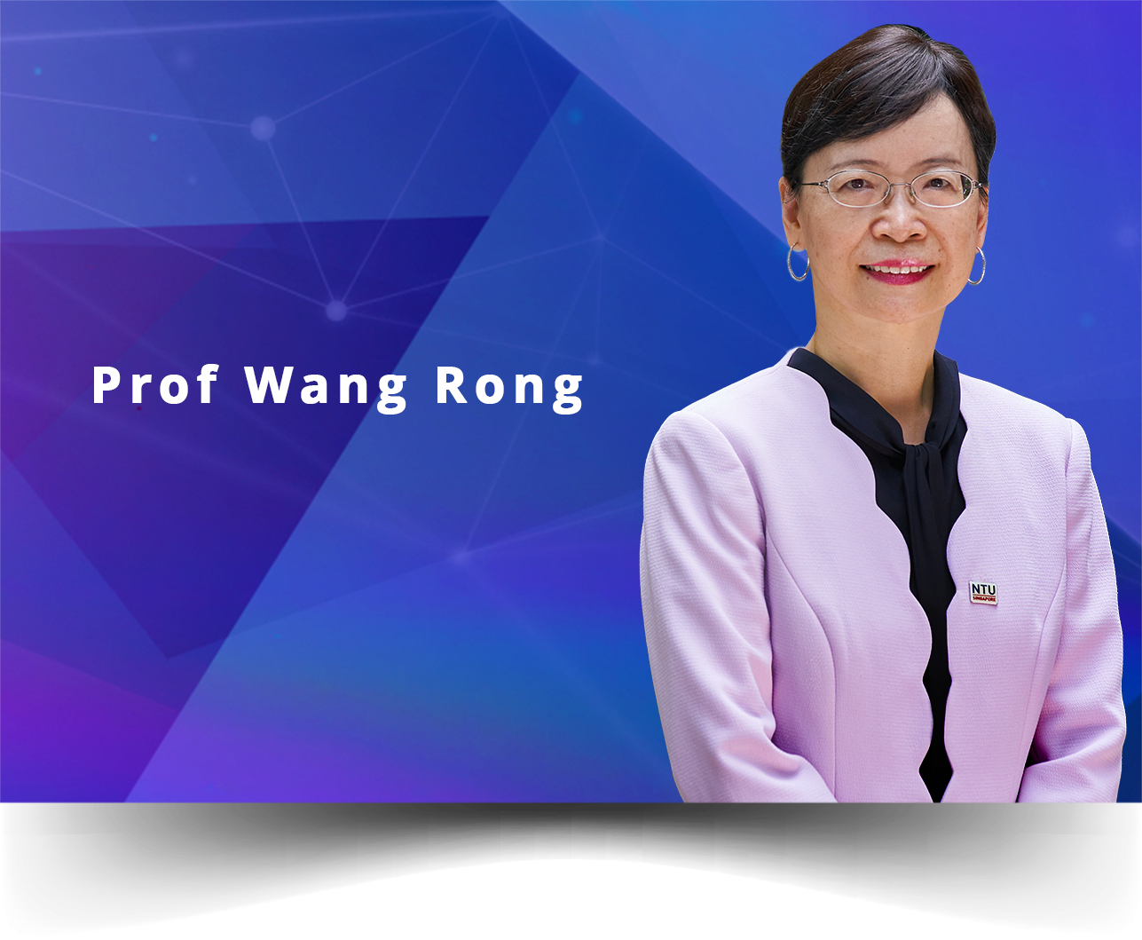 PROFESSOR WANG RONG