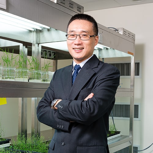 Professor Yu Hao