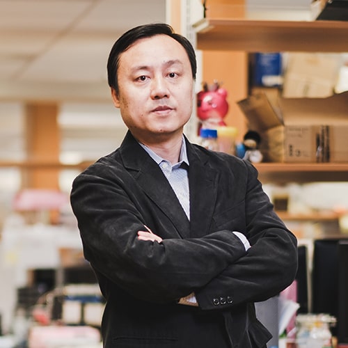 Associate Professor LIU Xiaogang