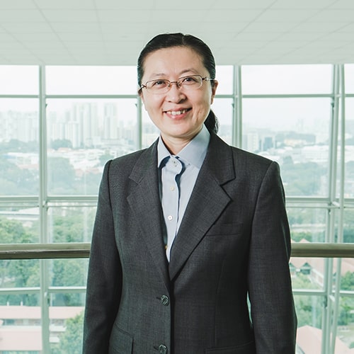 Professor LIU Bin